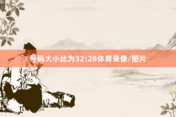 号码大小比为32:28体育录像/图片