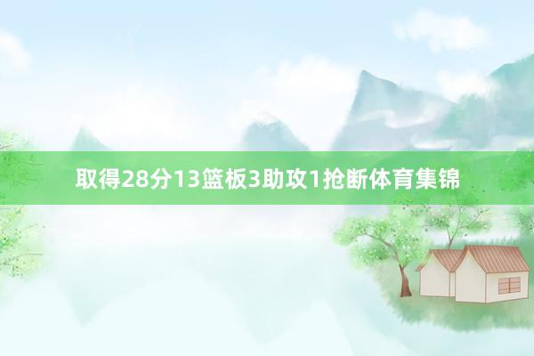 取得28分13篮板3助攻1抢断体育集锦