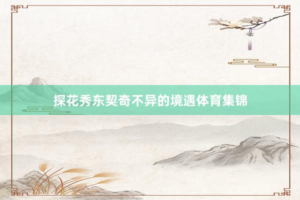探花秀东契奇不异的境遇体育集锦