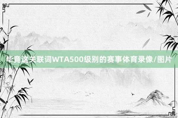 毕竟这关联词WTA500级别的赛事体育录像/图片