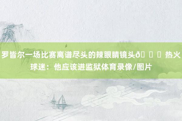 罗皆尔一场比赛离谱尽头的辣眼睛镜头😓热火球迷：他应该进监狱体育录像/图片