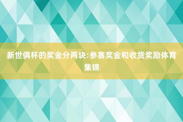 新世俱杯的奖金分两块:参赛奖金和收货奖励体育集锦