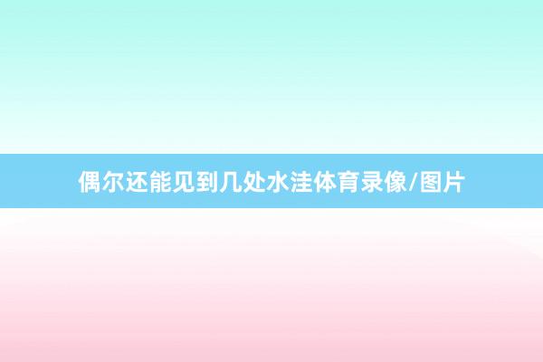 偶尔还能见到几处水洼体育录像/图片