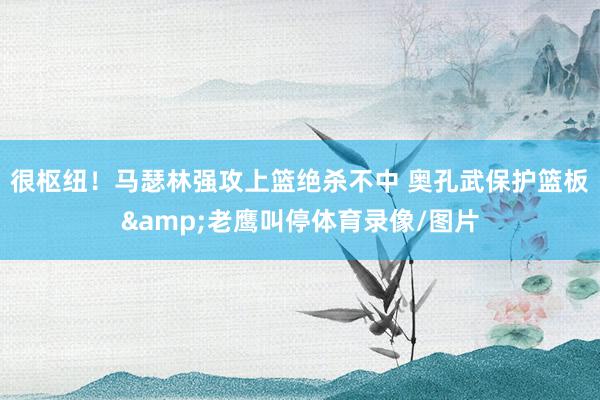 很枢纽！马瑟林强攻上篮绝杀不中 奥孔武保护篮板&老鹰叫停体育录像/图片