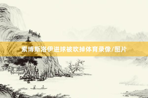 索博斯洛伊进球被吹掉体育录像/图片