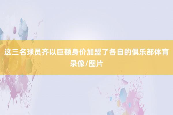 这三名球员齐以巨额身价加盟了各自的俱乐部体育录像/图片