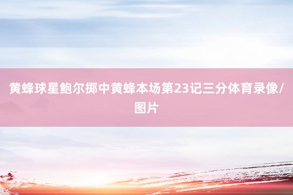 黄蜂球星鲍尔掷中黄蜂本场第23记三分体育录像/图片