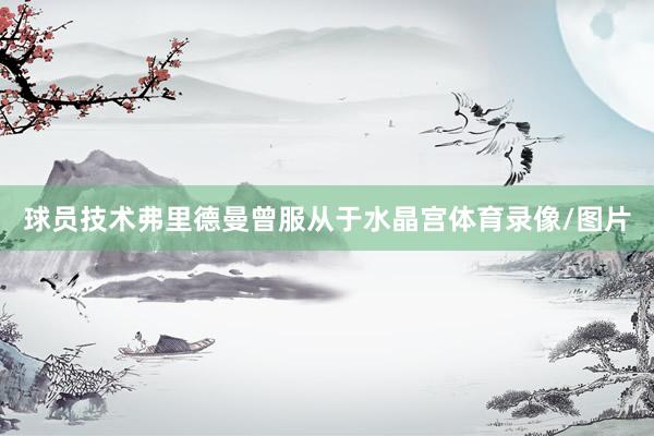 球员技术弗里德曼曾服从于水晶宫体育录像/图片