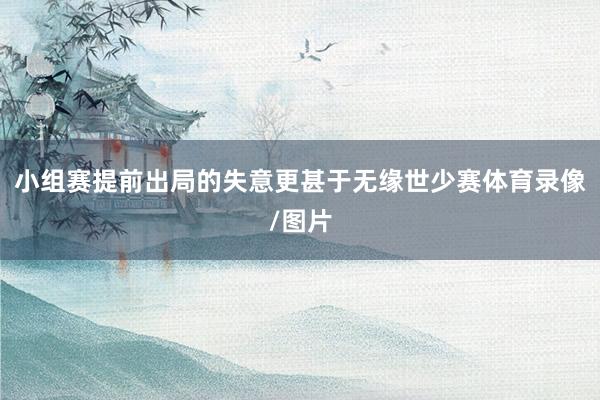 小组赛提前出局的失意更甚于无缘世少赛体育录像/图片