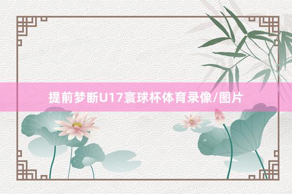 提前梦断U17寰球杯体育录像/图片