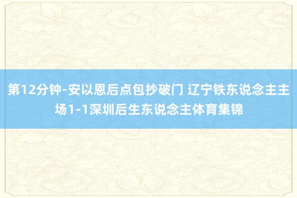 第12分钟-安以恩后点包抄破门 辽宁铁东说念主主场1-1深圳后生东说念主体育集锦