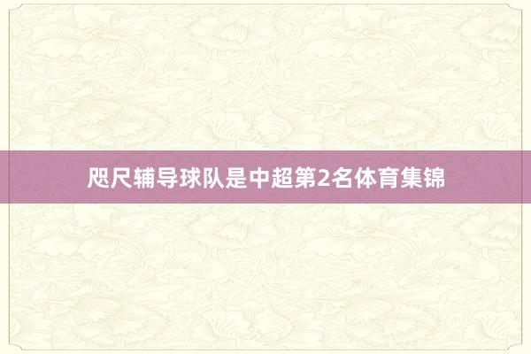 咫尺辅导球队是中超第2名体育集锦