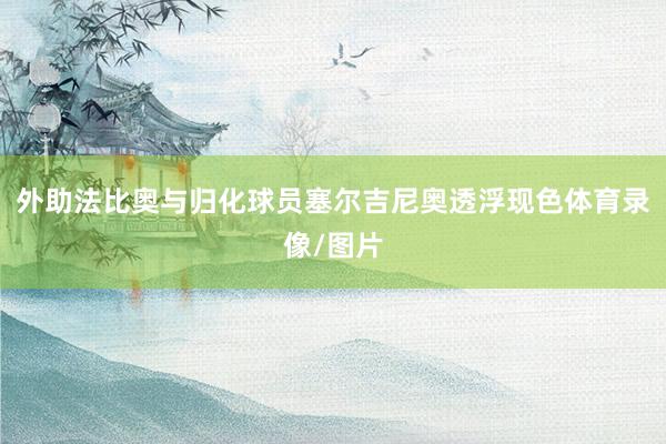 外助法比奥与归化球员塞尔吉尼奥透浮现色体育录像/图片