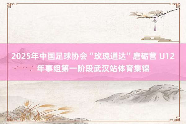 2025年中国足球协会“玫瑰通达”磨砺营 U12年事组第一阶段武汉站体育集锦