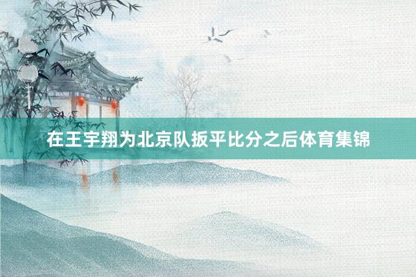 在王宇翔为北京队扳平比分之后体育集锦