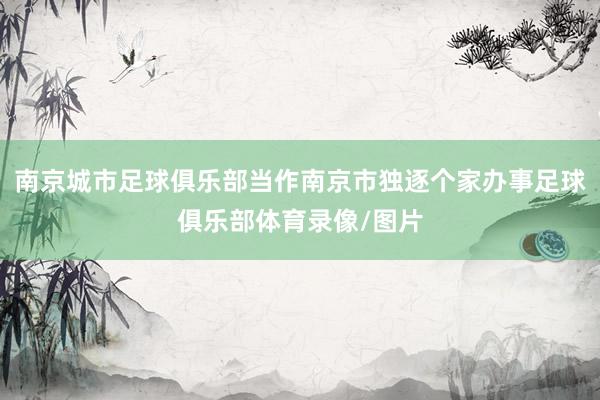 南京城市足球俱乐部当作南京市独逐个家办事足球俱乐部体育录像/图片