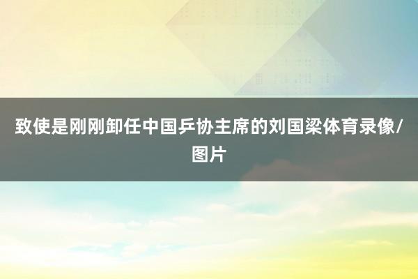 致使是刚刚卸任中国乒协主席的刘国梁体育录像/图片