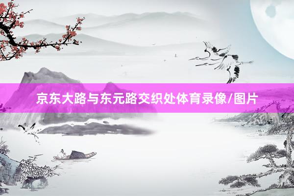 京东大路与东元路交织处体育录像/图片