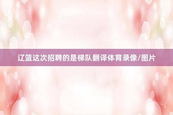辽篮这次招聘的是梯队翻译体育录像/图片