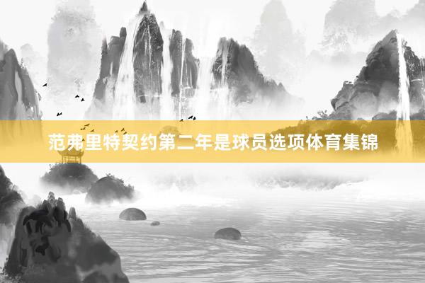 范弗里特契约第二年是球员选项体育集锦