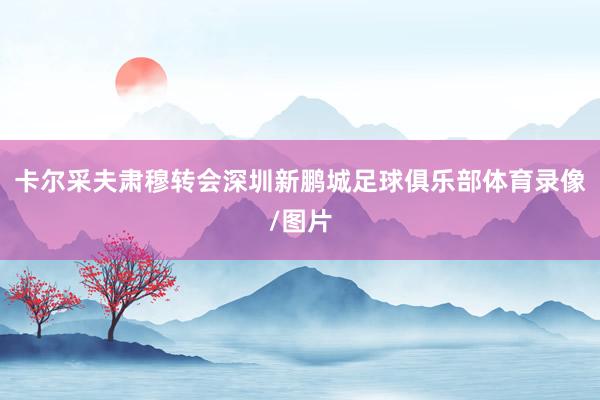 卡尔采夫肃穆转会深圳新鹏城足球俱乐部体育录像/图片