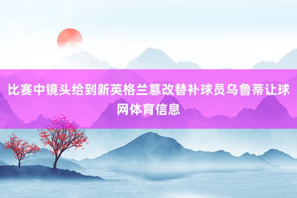比赛中镜头给到新英格兰篡改替补球员乌鲁蒂让球网体育信息