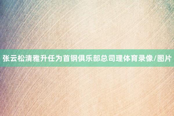 张云松清雅升任为首钢俱乐部总司理体育录像/图片