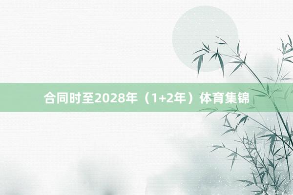合同时至2028年（1+2年）体育集锦