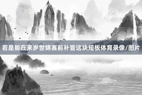 若是能在来岁世锦赛前补皆这块短板体育录像/图片