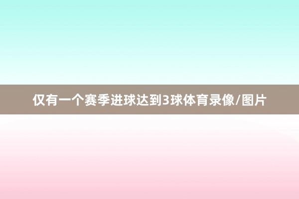 仅有一个赛季进球达到3球体育录像/图片