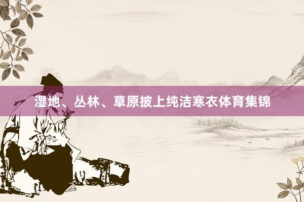 湿地、丛林、草原披上纯洁寒衣体育集锦