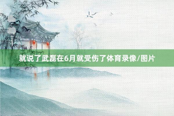 就说了武磊在6月就受伤了体育录像/图片