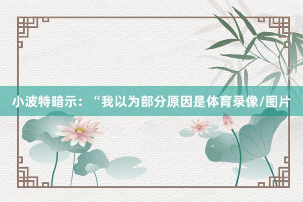 小波特暗示：“我以为部分原因是体育录像/图片