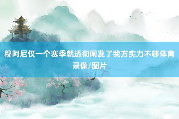 穆阿尼仅一个赛季就透彻阐发了我方实力不够体育录像/图片
