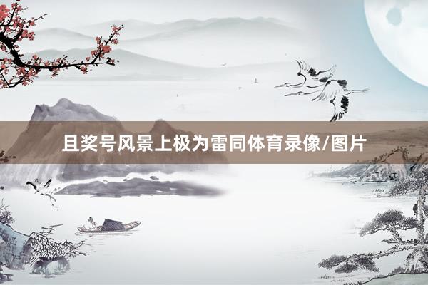 且奖号风景上极为雷同体育录像/图片