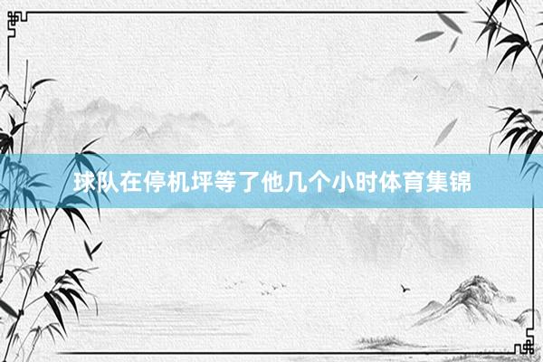 球队在停机坪等了他几个小时体育集锦