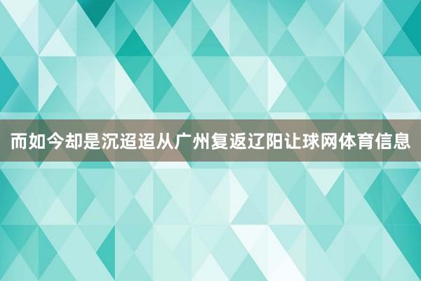 而如今却是沉迢迢从广州复返辽阳让球网体育信息