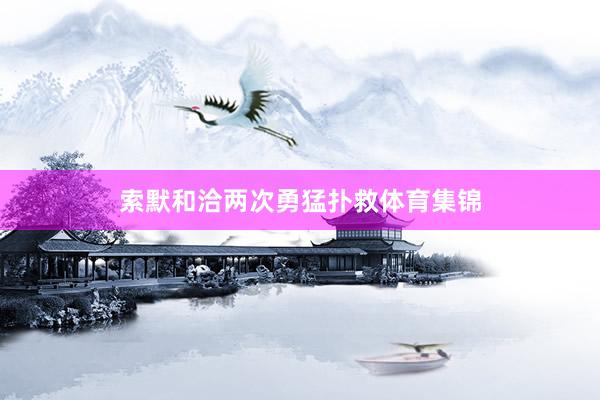 索默和洽两次勇猛扑救体育集锦