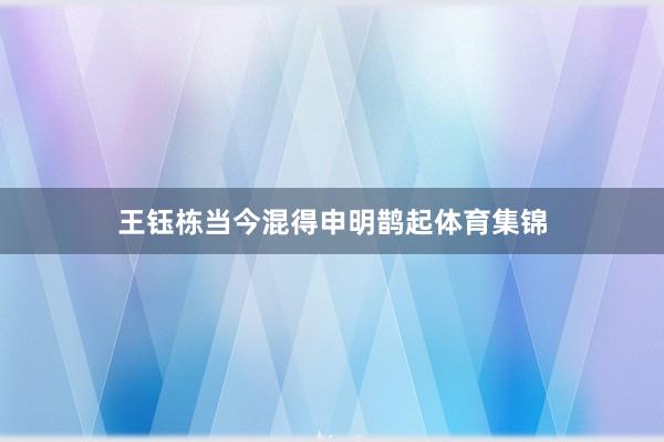 王钰栋当今混得申明鹊起体育集锦