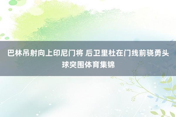 巴林吊射向上印尼门将 后卫里杜在门线前骁勇头球突围体育集锦