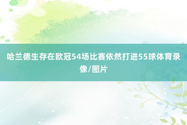 哈兰德生存在欧冠54场比赛依然打进55球体育录像/图片