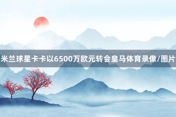 米兰球星卡卡以6500万欧元转会皇马体育录像/图片