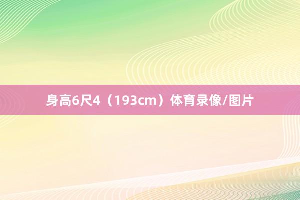 身高6尺4(193cm)体育录像/图片