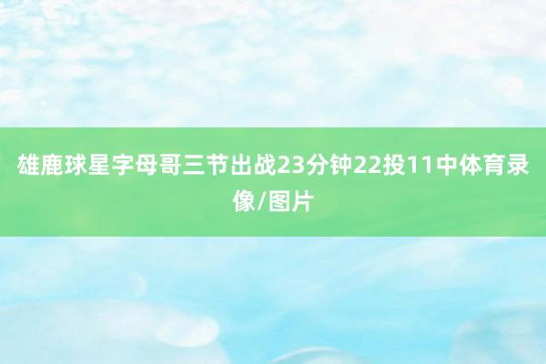 雄鹿球星字母哥三节出战23分钟22投11中体育录像/图片