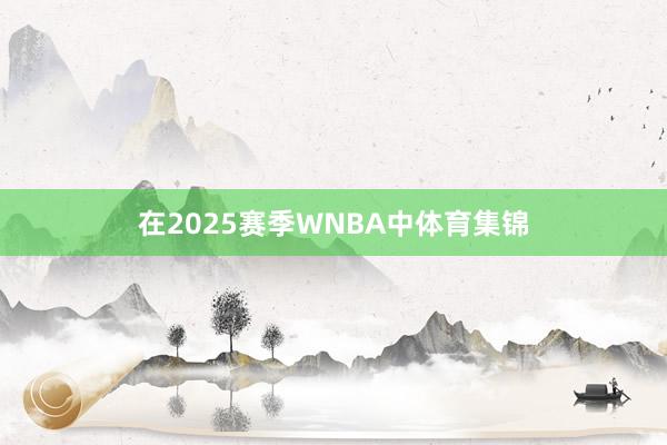 在2025赛季WNBA中体育集锦