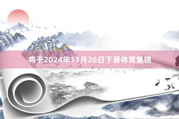 将于2024年11月26日下昼体育集锦