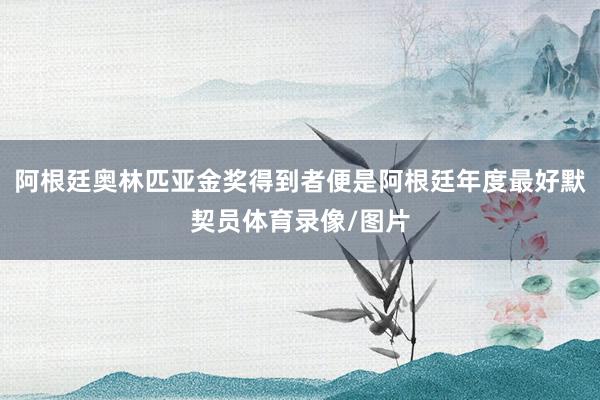 阿根廷奥林匹亚金奖得到者便是阿根廷年度最好默契员体育录像/图片