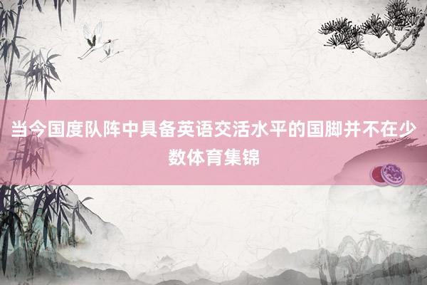 当今国度队阵中具备英语交活水平的国脚并不在少数体育集锦