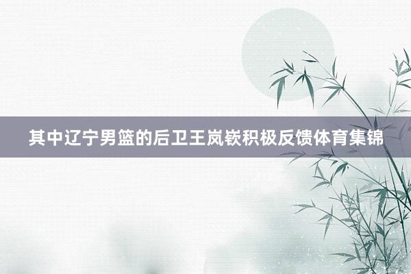 其中辽宁男篮的后卫王岚嵚积极反馈体育集锦