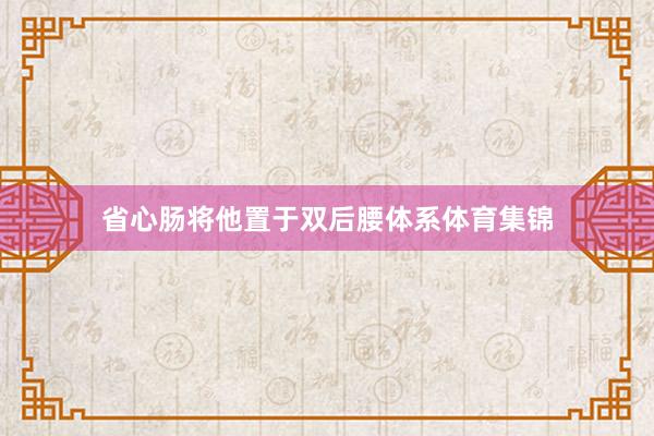 省心肠将他置于双后腰体系体育集锦